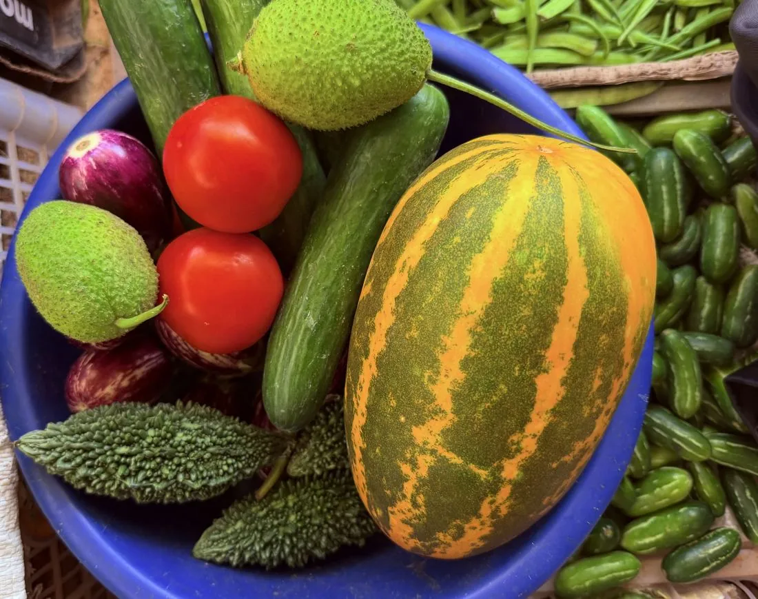 Assorted fresh vegetables arranged in a blue container